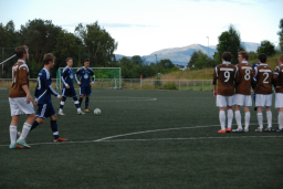 vvileidsvЖg2012 016